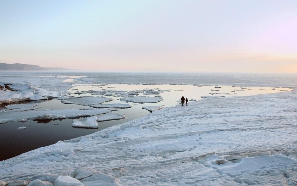 Волга вскрылась и по мутной воде. Волга вскрылась и по мутной воде